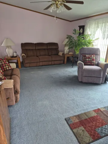 a living room with furniture and a potted plant