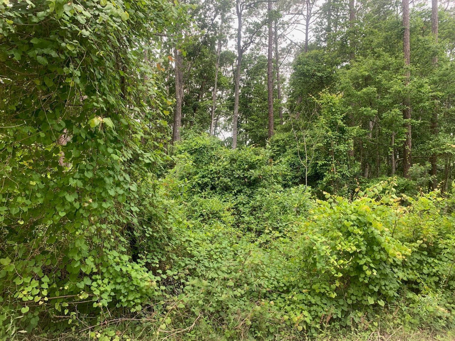123 Coot Road Satsuma, FL 32189 - Photo 1 of 2 Photo 1