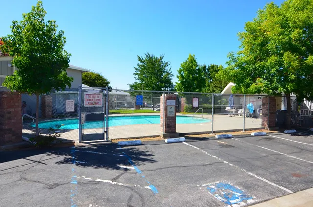 a view of a park with large trees and wooden fence