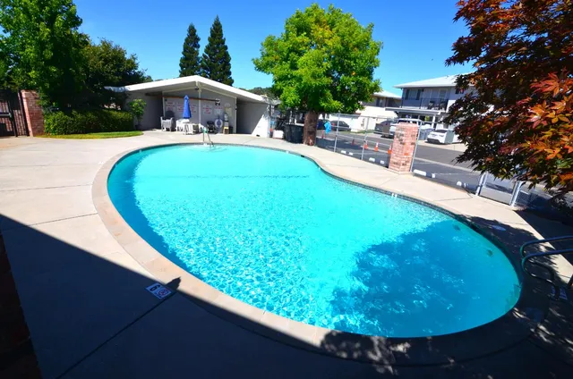 a view of a swimming pool with a patio and plants