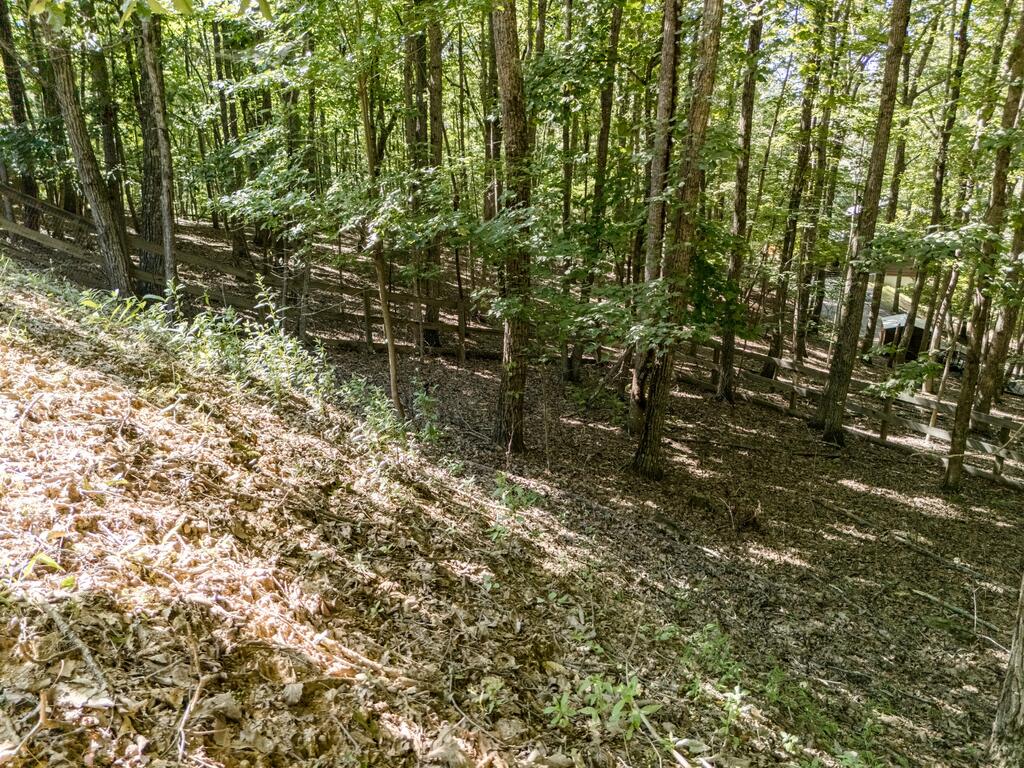 191 Deer Run Road Blairsville, GA 30512 - Photo 68 of 74 Gallery Image 68