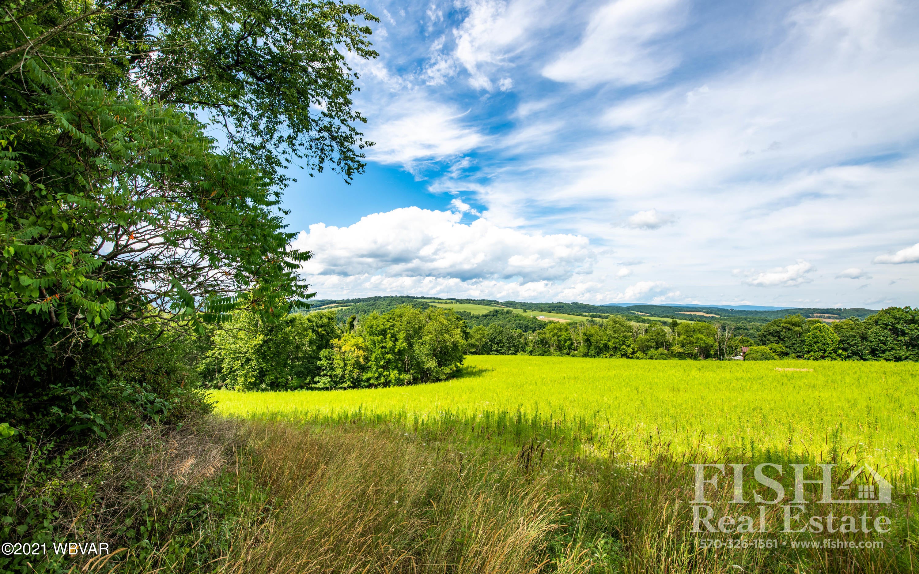 Hill Road Muncy, PA 17756 - Photo 2 of 4 Gallery Image 2