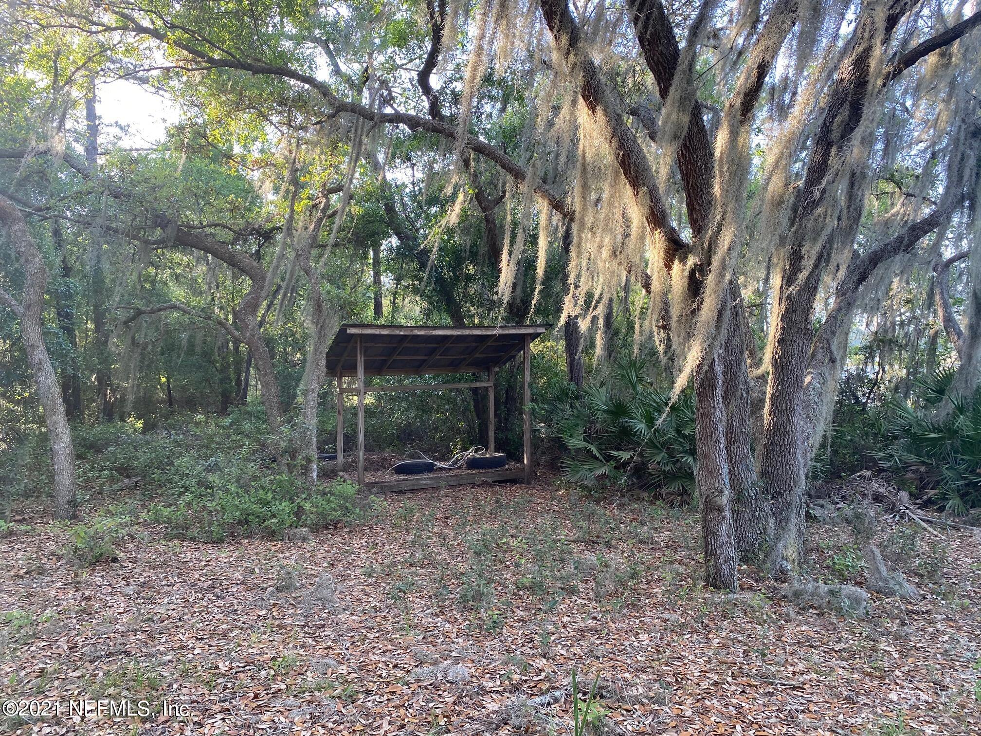 196 Indian Lakes Road Hawthorne, FL 32640 - Photo 8 of 27 a view of a forest filled with trees