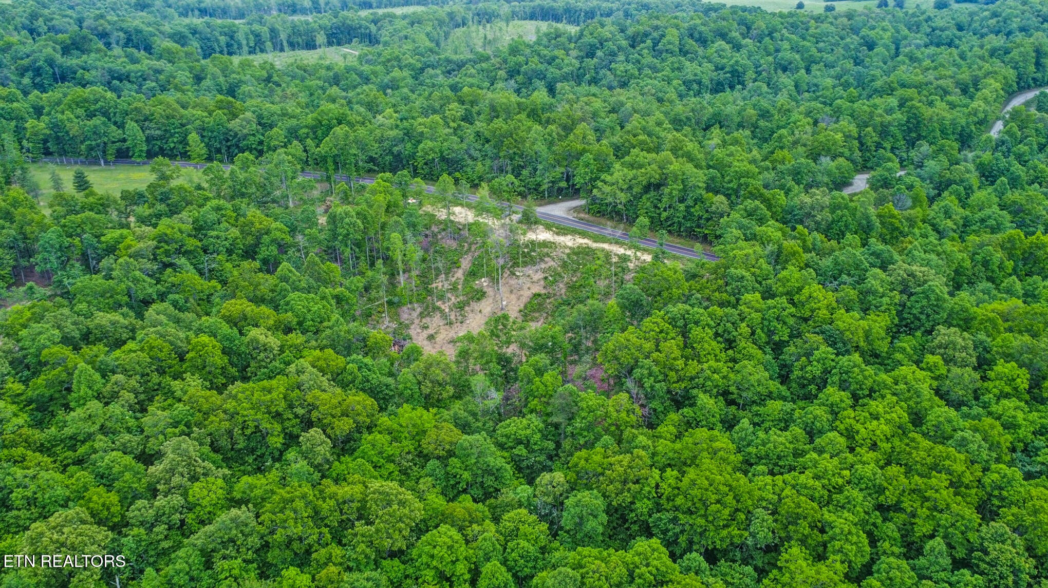1518 Mt Helen Road Allardt, TN 38504 - Photo 13 of 20 a view of a lush green forest with lots of trees