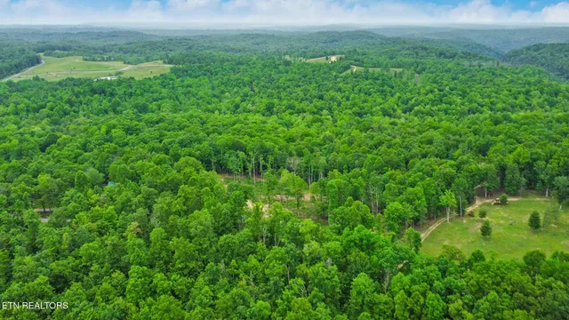a view of a lush green space
