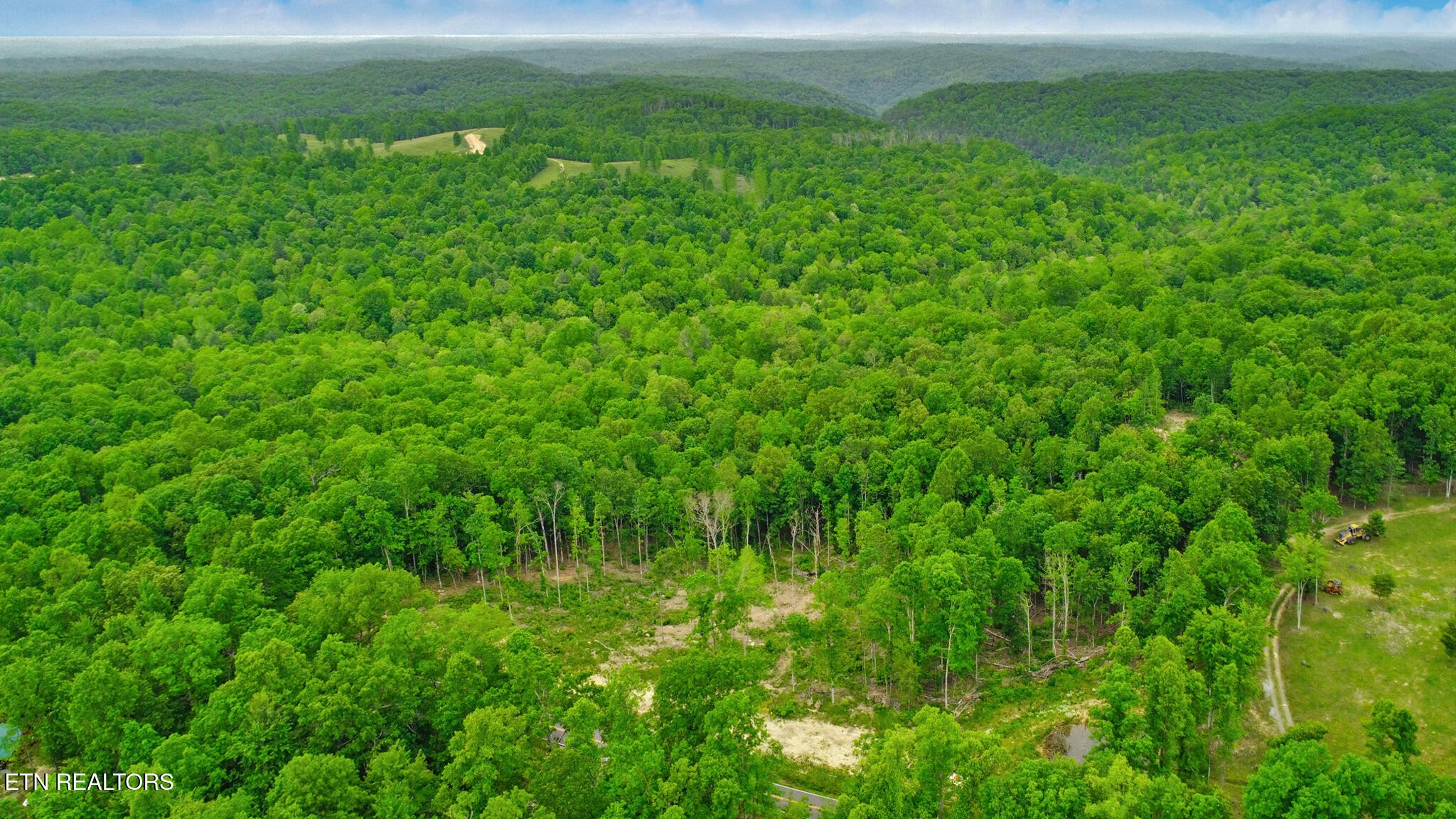 1518 Mt Helen Road Allardt, TN 38504 - Photo 5 of 20 a view of a lush green space