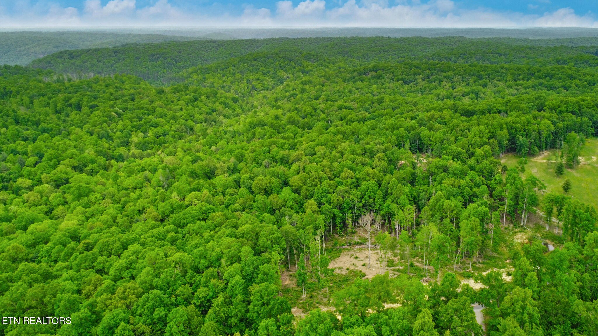 1518 Mt Helen Road Allardt, TN 38504 - Photo 6 of 20 a view of a lush green space