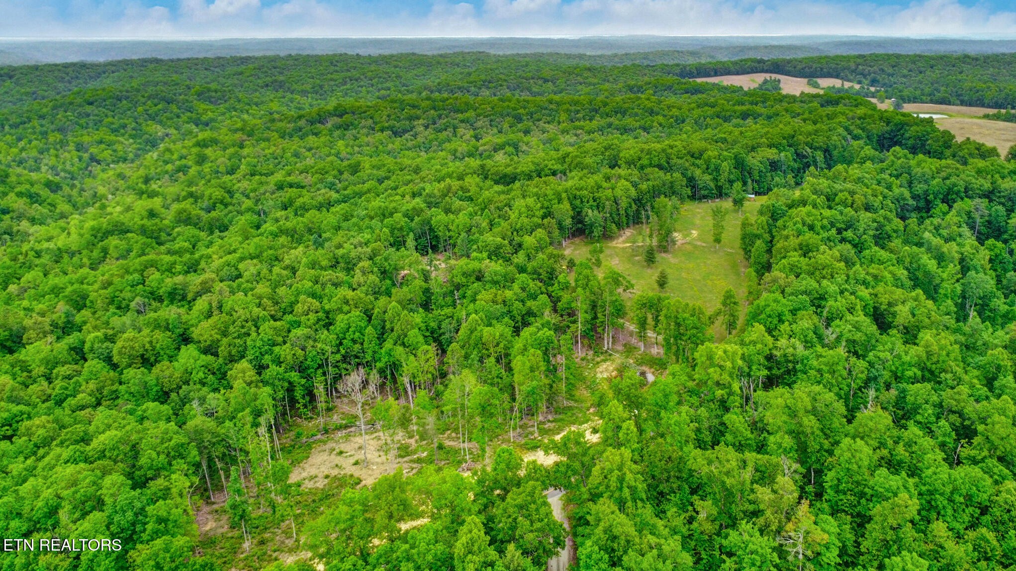 1518 Mt Helen Road Allardt, TN 38504 - Photo 7 of 20 a view of a garden from a garden