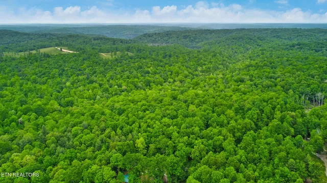 a view of yard with green space