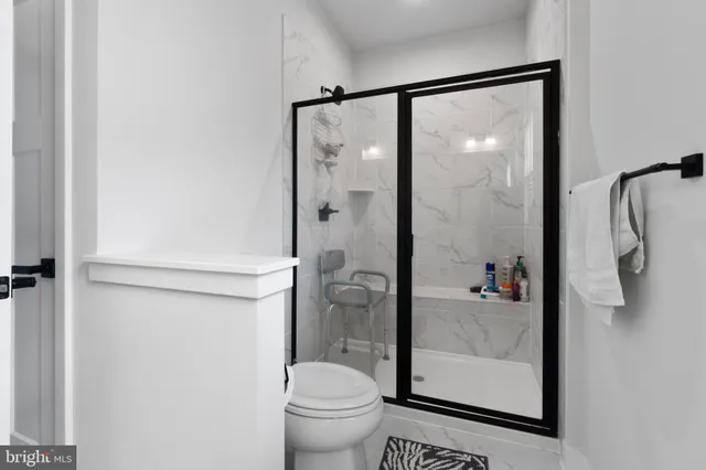 a bathroom with a shower and a toilet