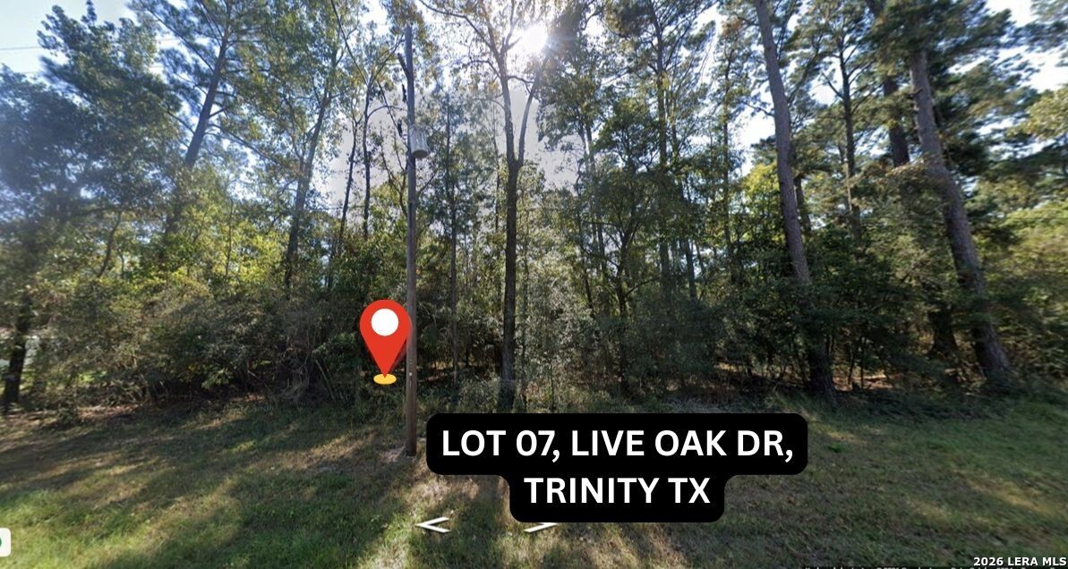 0 Live Oak Trinity, TX 75862 - Photo 6 of 7