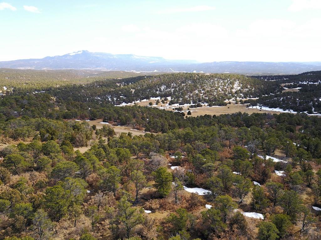13045 Picket Wire Road Boncarbo, CO 81024 - Photo 11 of 47 Gallery Image 11