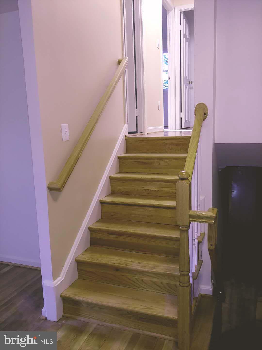 6606 Grey Fox Drive Springfield, VA 22152 - Photo 7 of 8 Connecting stairs