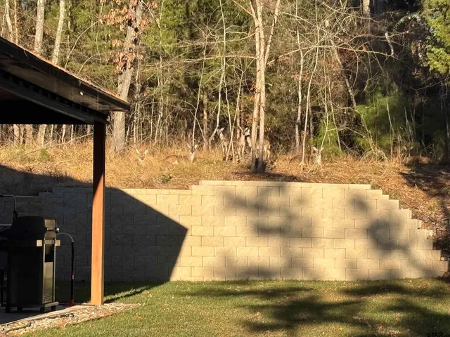 $265,000 | 18654 Quiet Anchor Lane, Flint, TX 75762