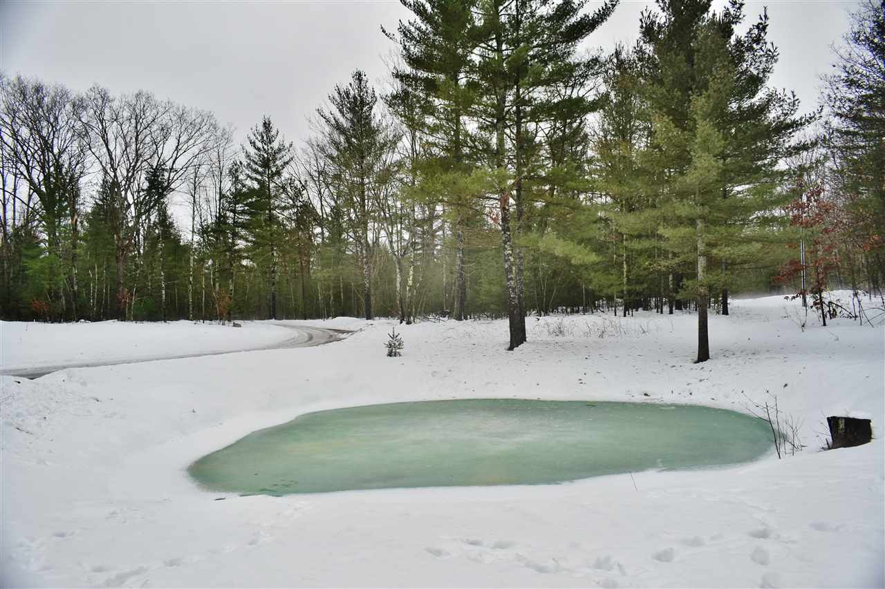 5691 South Betsie River Road Interlochen, MI 49643 - Photo 31 of 39 1842027-30.JPG