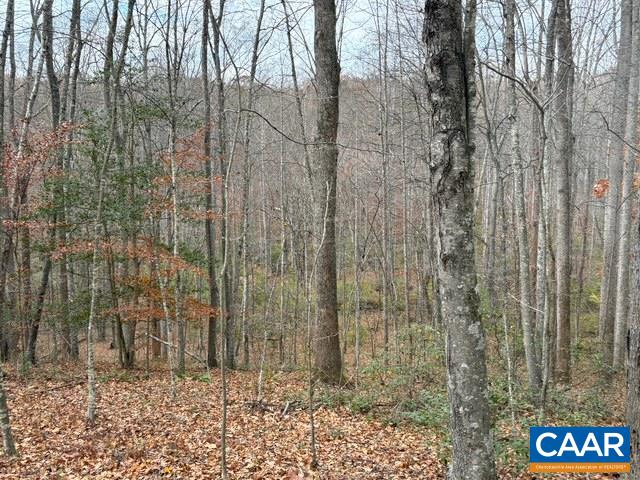 23-5a Mitchell Mountain Road Reva, VA 22735 - Photo 8 of 16 Fall view of stream/creek