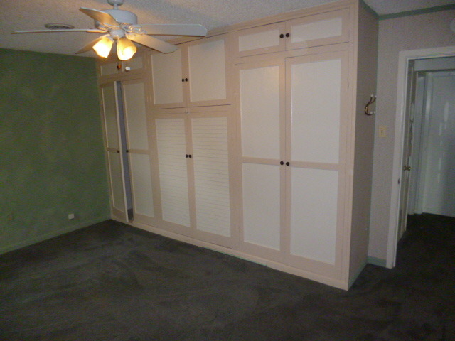809 St Andrews Drive Crete, IL 60417 - Photo 18 of 24 a view of an empty room with chandelier fan and closet area