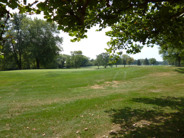 809 St Andrews Drive Crete, IL 60417 - Photo 24 of 24 a view of a grassy field with trees