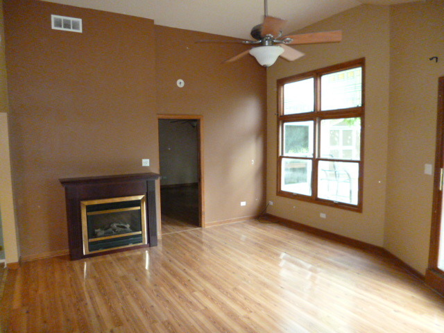 809 St Andrews Drive Crete, IL 60417 - Photo 4 of 24 an empty room with windows and a fireplace