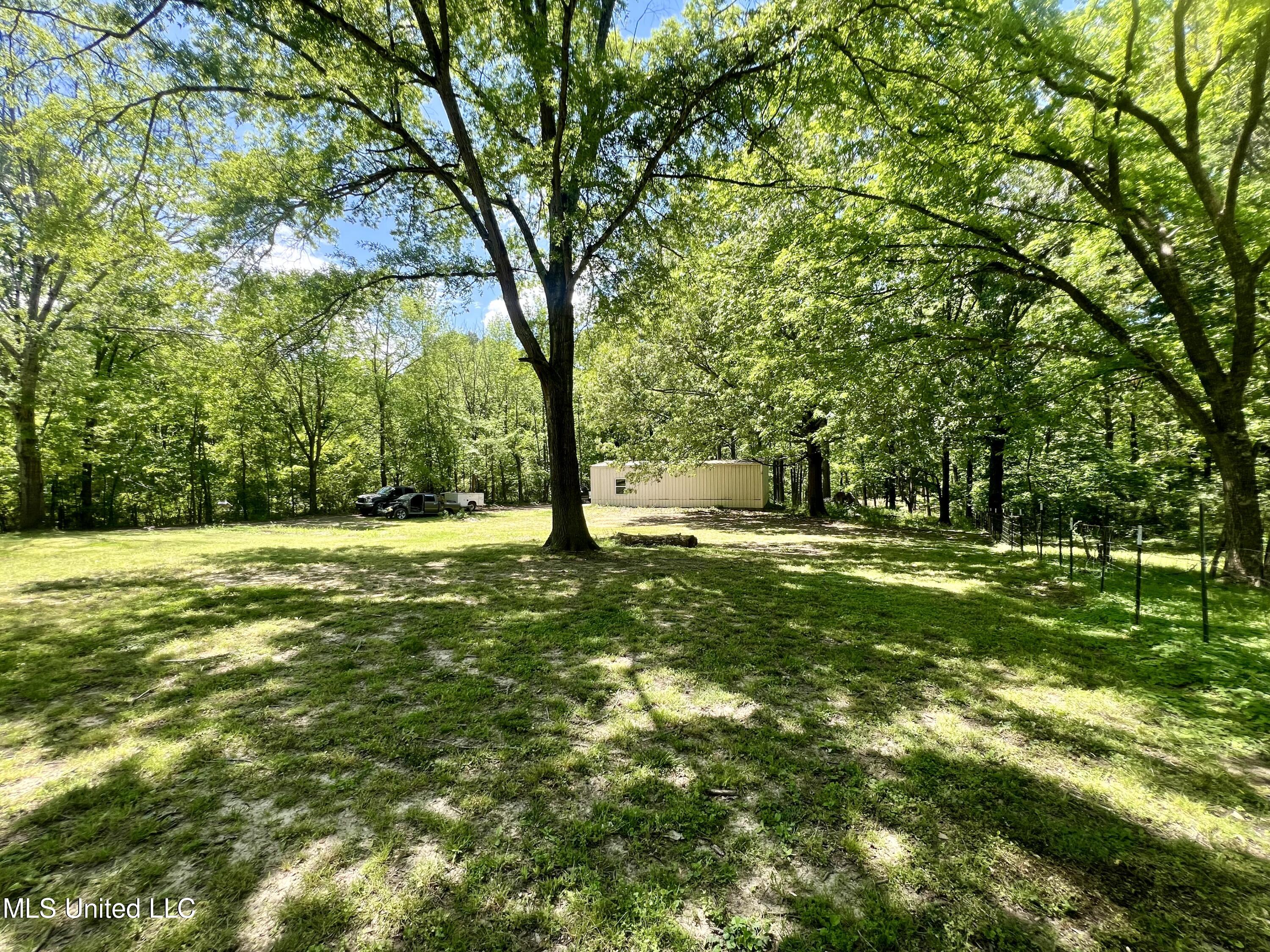 425 Fields Road Byhalia, MS 38611 - Photo 30 of 34 Backyard 3
