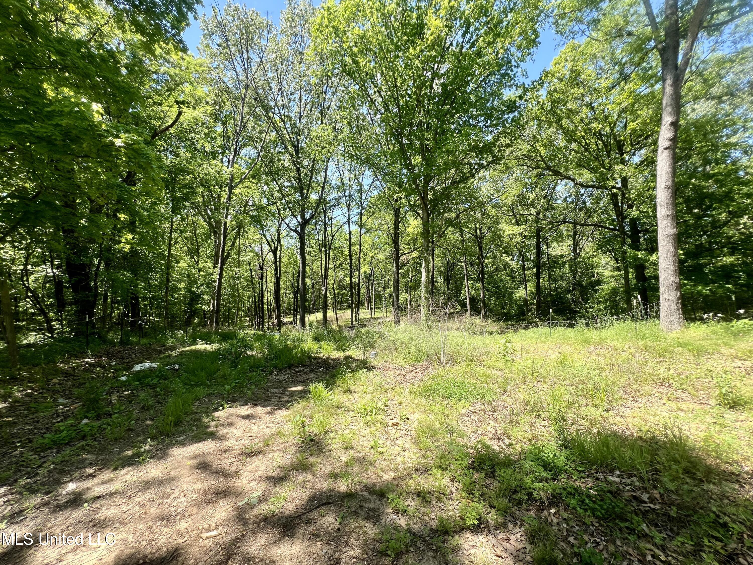 425 Fields Road Byhalia, MS 38611 - Photo 32 of 34 View Behind Shop