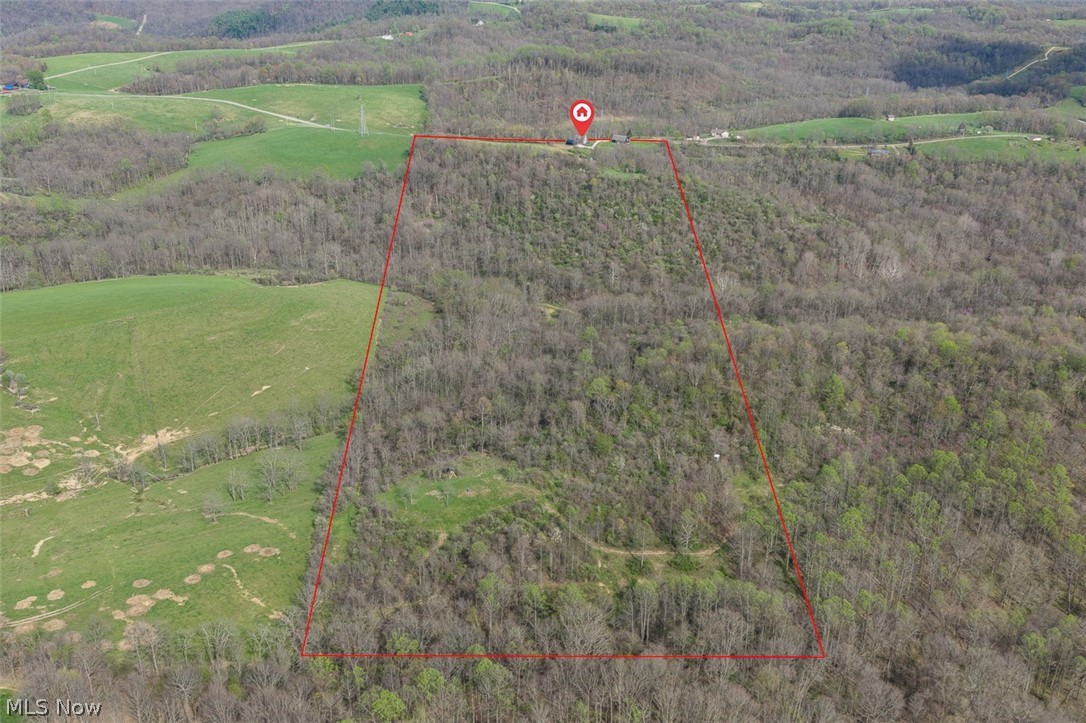 81910 Ourant Road Cadiz, OH 43907 - Photo 6 of 50