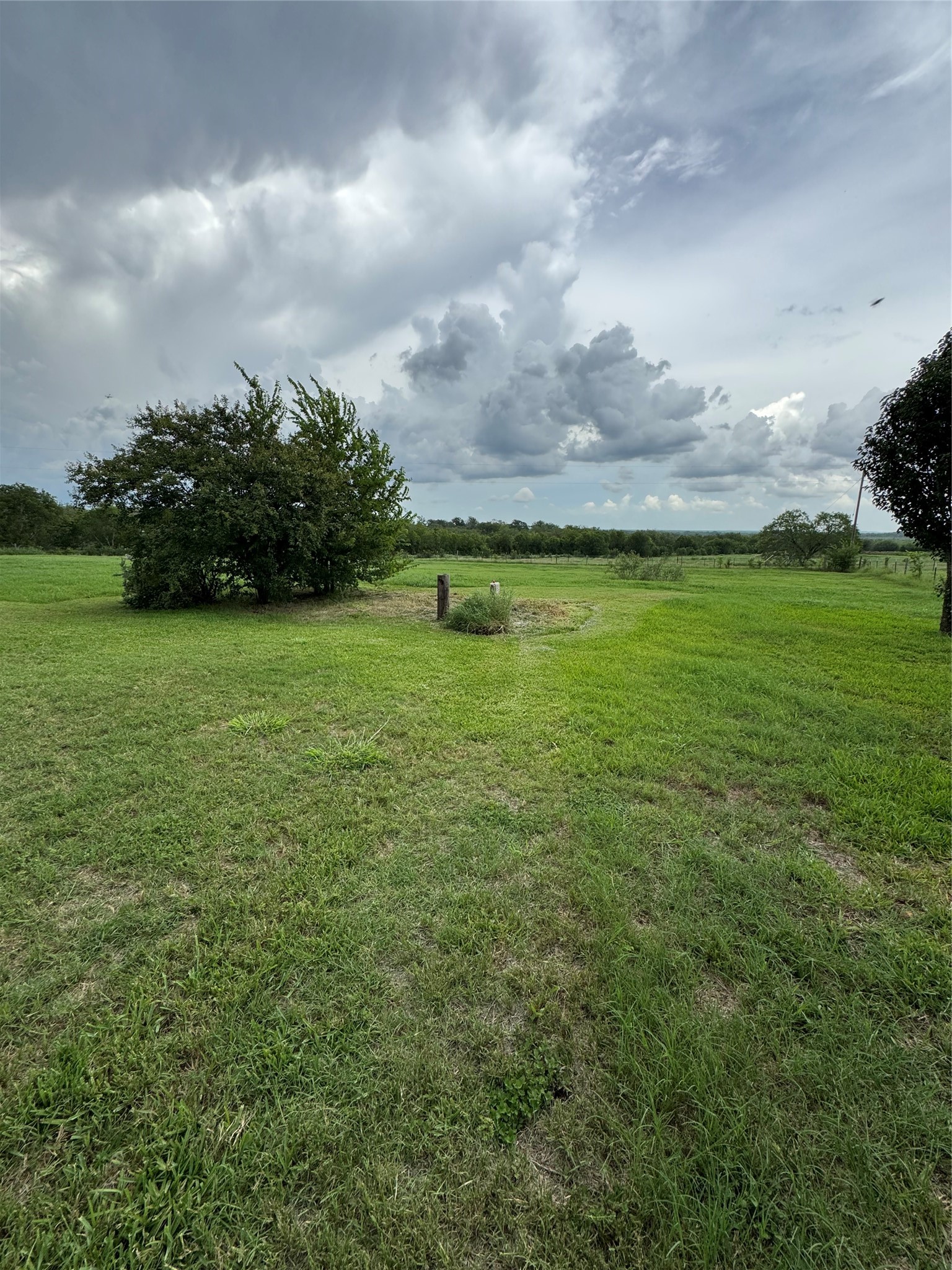 674 County Road 447 Waelder, TX 78959 - Photo 46 of 50 Septic Area