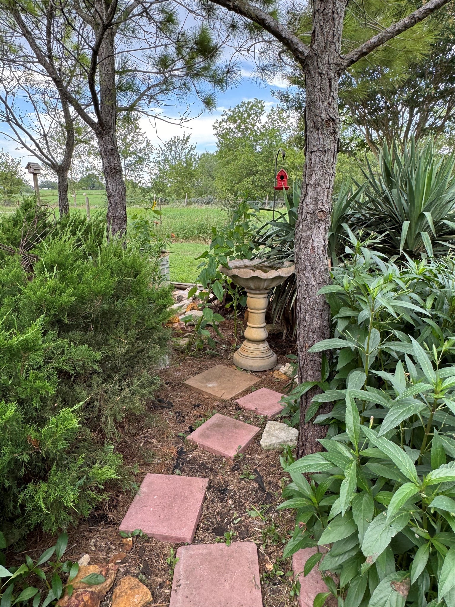 674 County Road 447 Waelder, TX 78959 - Photo 7 of 50 Front Yard Area