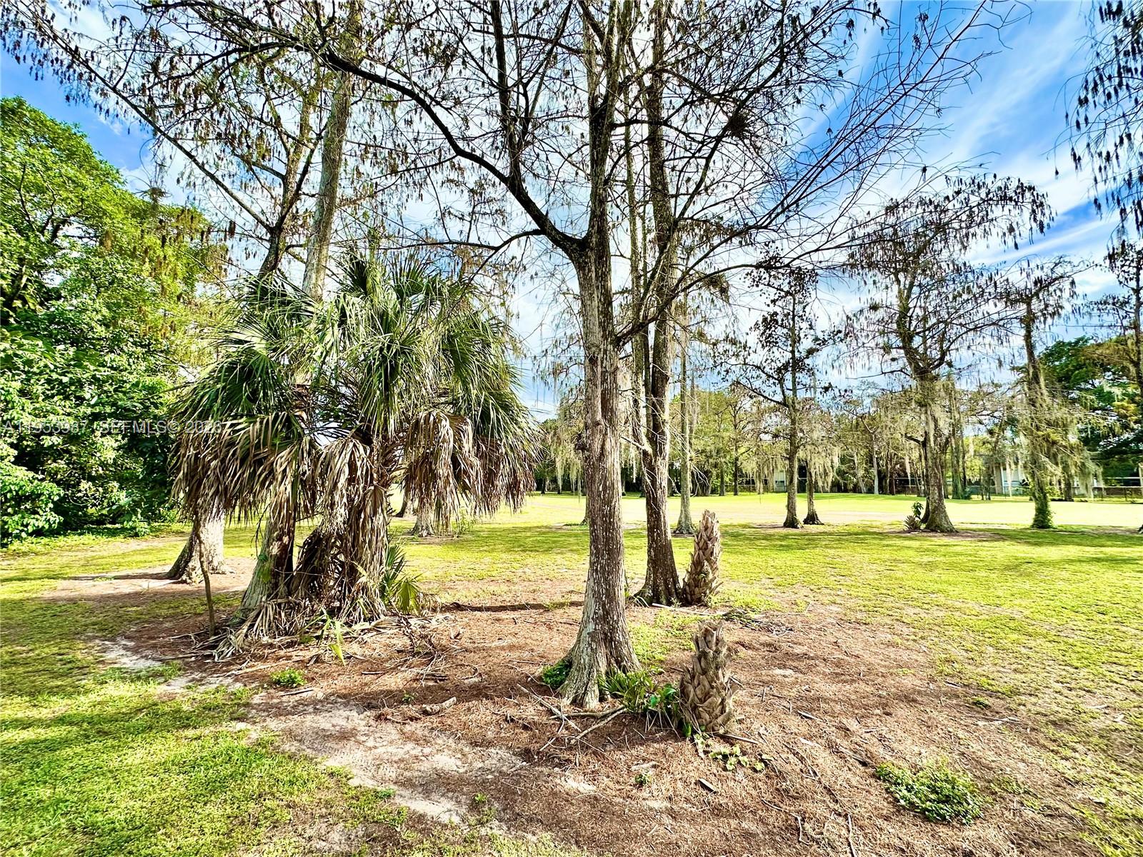 8000 Fairview Drive, Unit 203 Tamarac, FL 33321 - Photo 18 of 29 a view of a yard with a tree