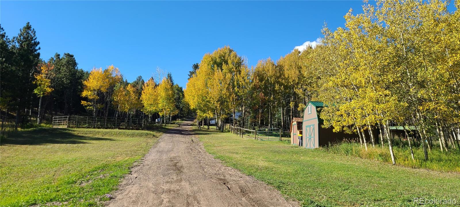 2230 County Road 72 Bailey, CO 80421 - Photo 38 of 50 a view of a park with large trees