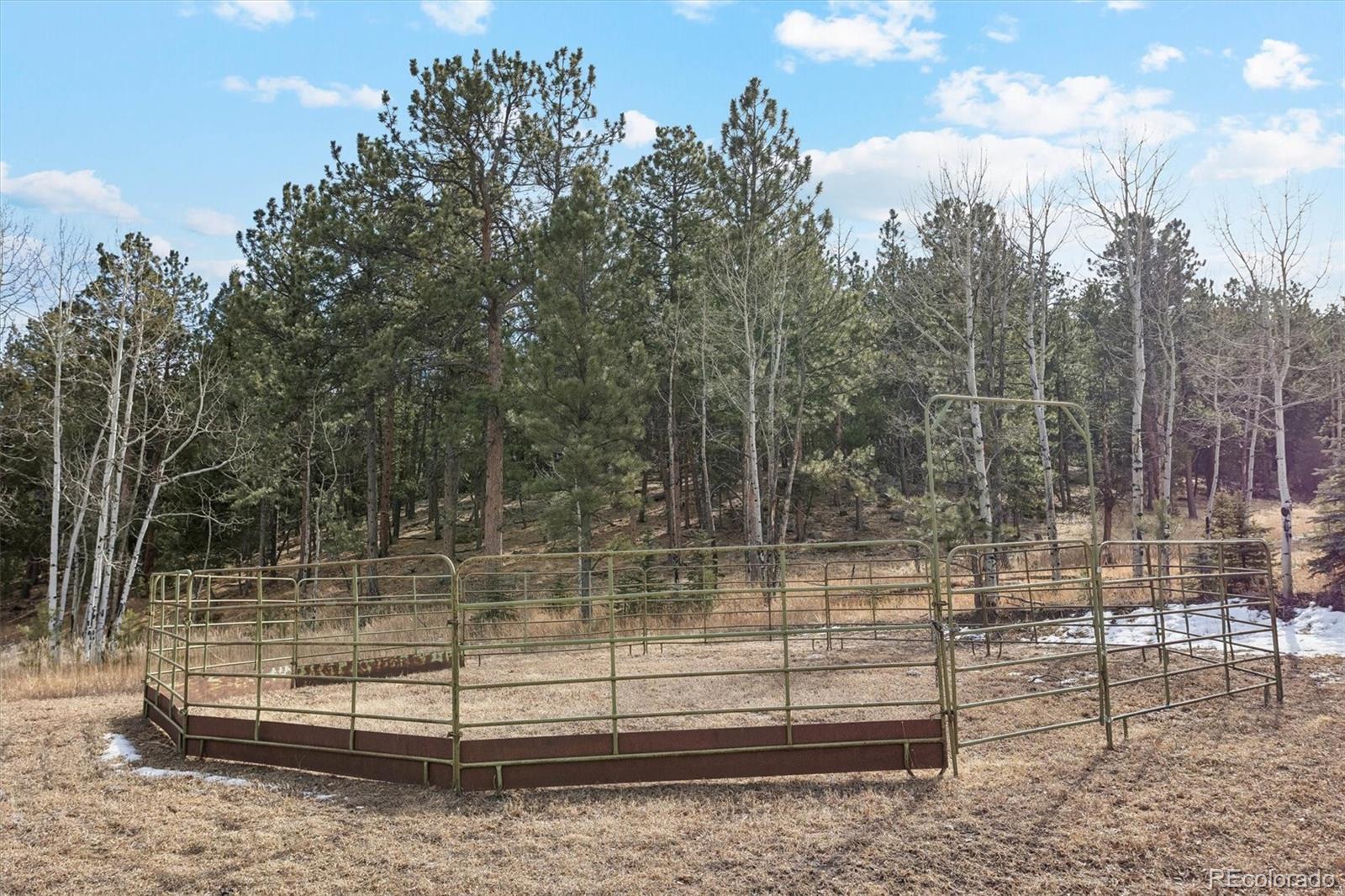 2230 County Road 72 Bailey, CO 80421 - Photo 41 of 50 a view of a bench in a yard
