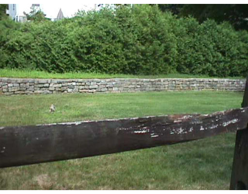 44 Allen Road Winchester, MA 01890 - Photo 4 of 4 a view of a grassy area