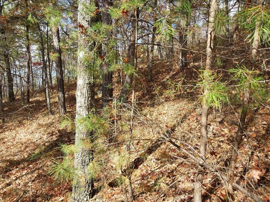 4 Happy Hollow Road Sevierville, TN 37862 - Photo 21 of 37 Gallery Image 21