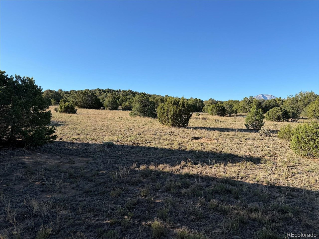 141 River Ridge Trail Walsenburg, CO 81089 - Photo 20 of 28 Gallery Image 20
