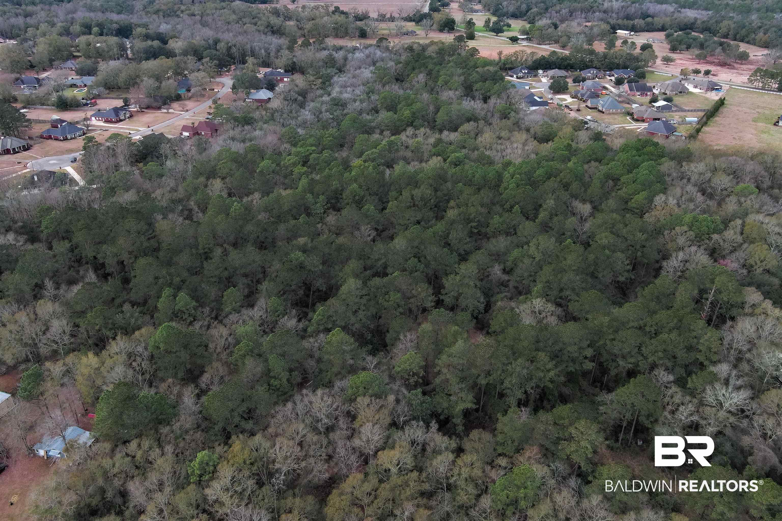 0 North Branson Drive Mobile, AL 36695 - Photo 11 of 20 Bird's eye view