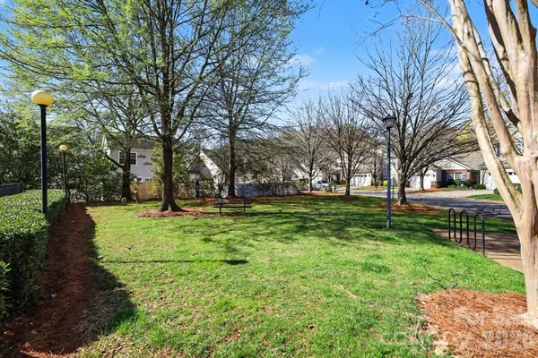 a view of park with trees