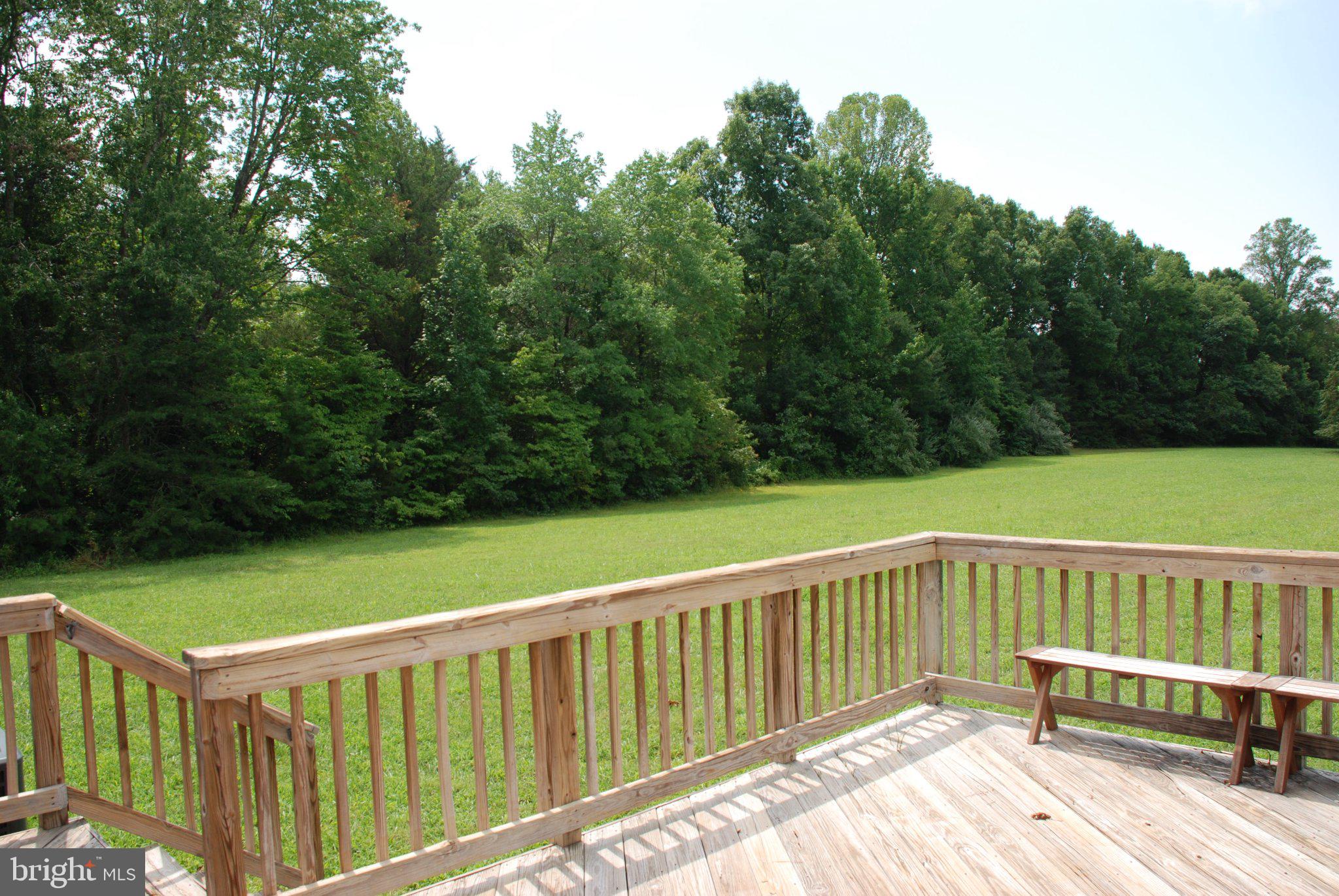 4508 Lewiston Road Bumpass, VA 23024 - Photo 9 of 84 Serene deck overlooking lush greenery.