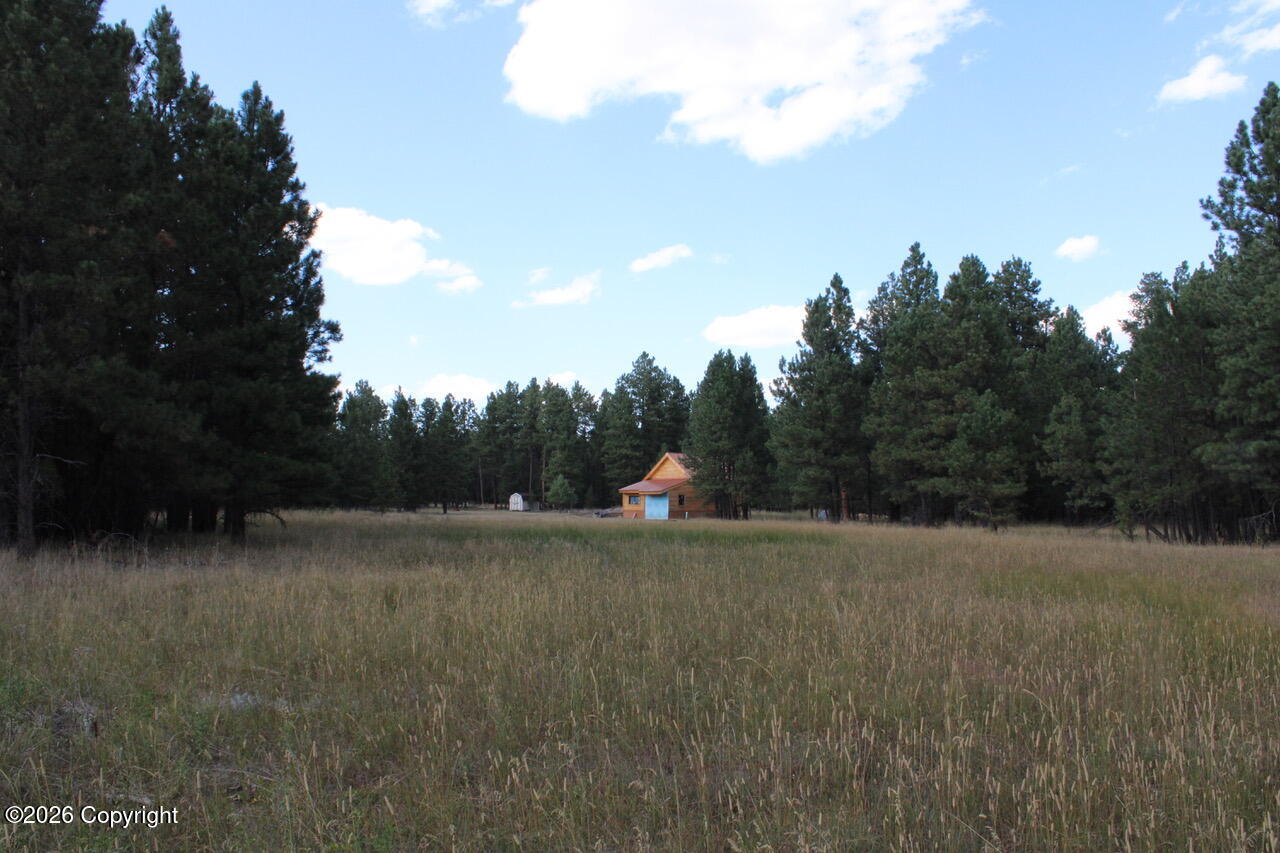 Lot 11 Bruin Road Alzada, MT 59311 - Photo 15 of 51 Gallery Image 15