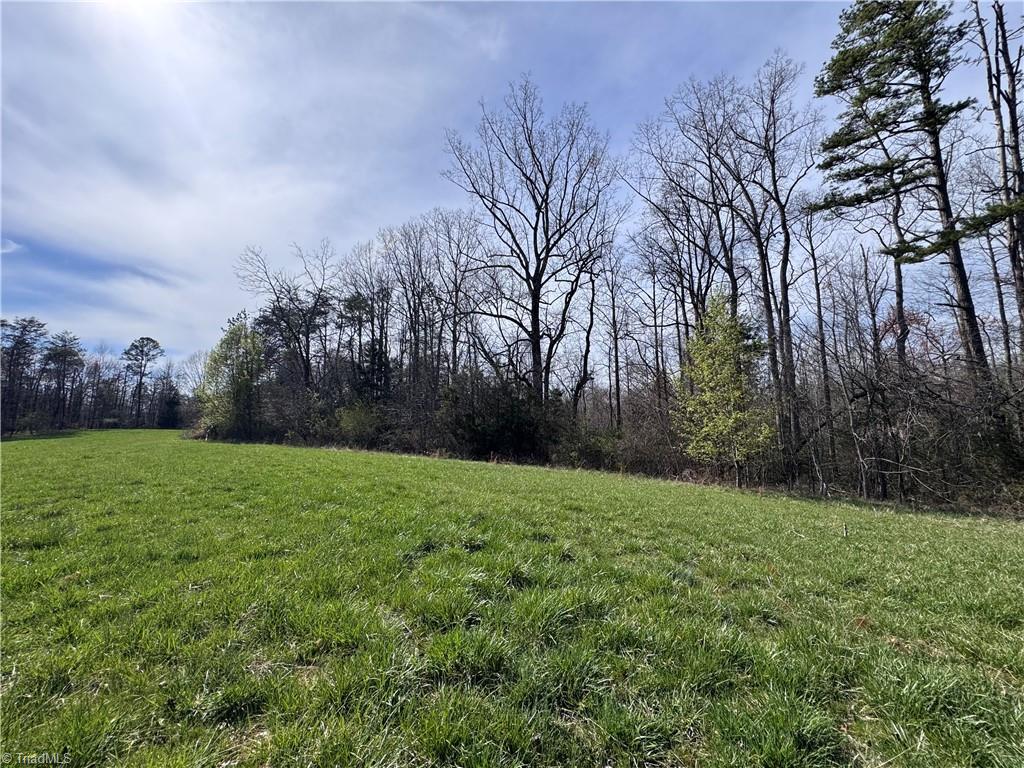 2 Timberlake Trail Elkin, NC 28621 - Photo 3 of 4