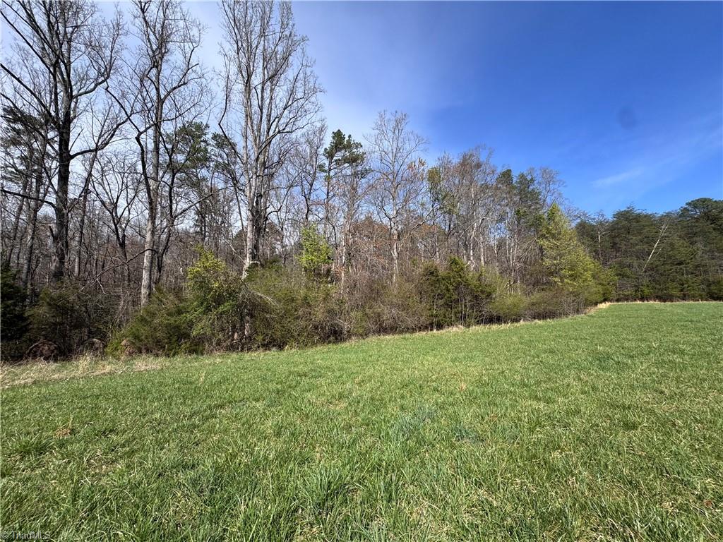 2 Timberlake Trail Elkin, NC 28621 - Photo 4 of 4