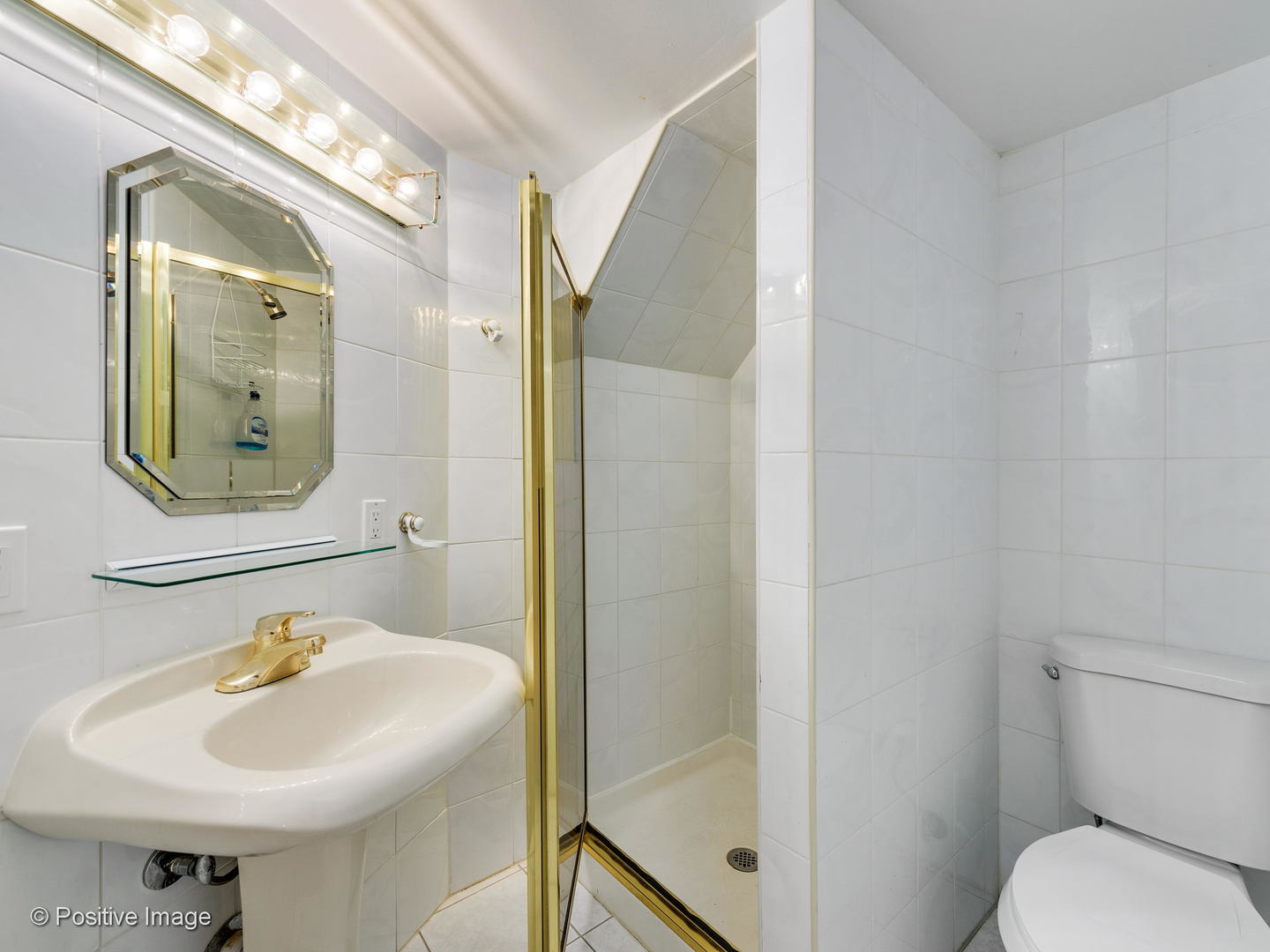 757 Ridge Road Highland Park, IL 60035 - Photo 22 of 26 a bathroom with a sink and mirror with toilet