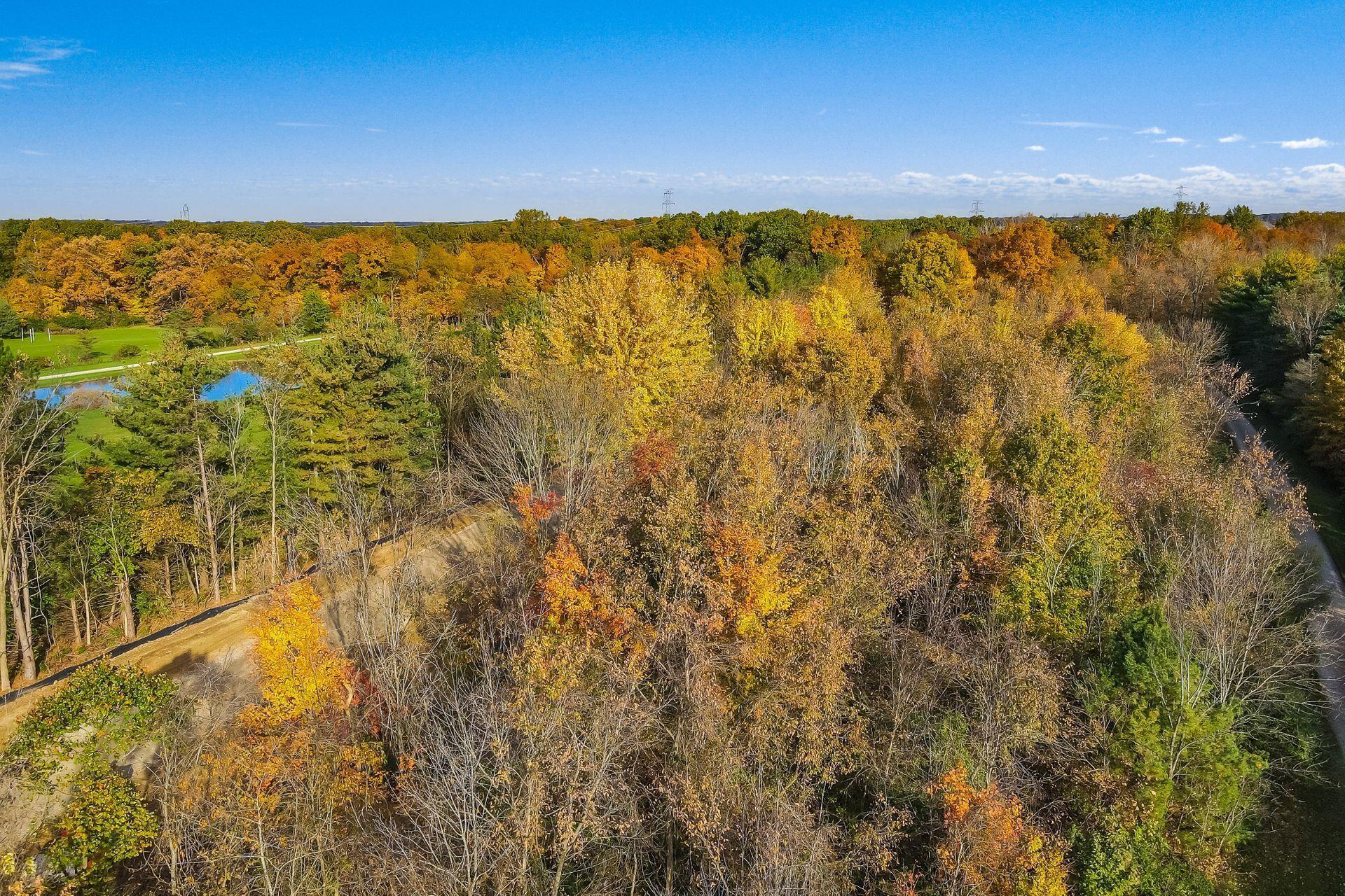 0 Rutherford Road, Unit LOT #2 Powell, OH 43065 - Photo 7 of 32 002_ 4808 Rutherford Drone002