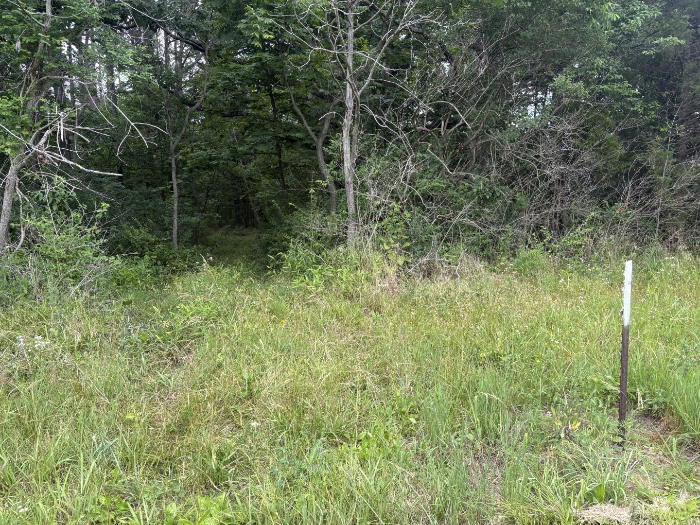 0 North Sato Road Ava, IL 62907 - Photo 1 of 2