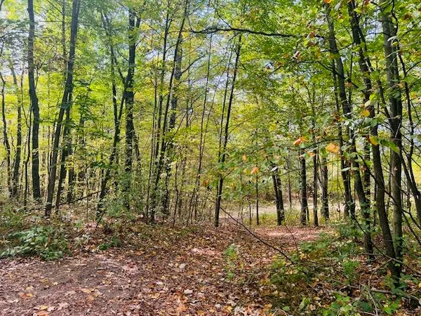 $22,900 | 0 Ramona Park Avenue, White Cloud, MI 49349