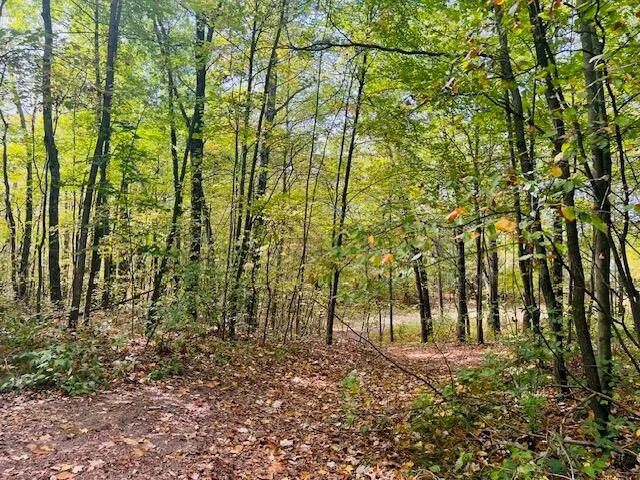 $22,900 | 0 Ramona Park Avenue, White Cloud, MI 49349