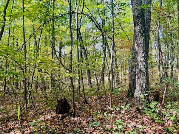 $22,900 | 0 Ramona Park Avenue, White Cloud, MI 49349