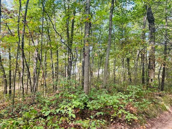 $22,900 | 0 Ramona Park Avenue, White Cloud, MI 49349