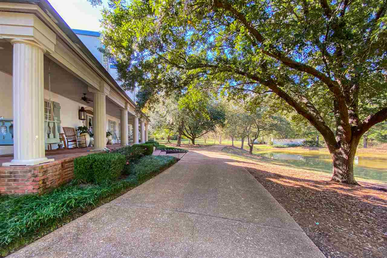 111 Mockingbird Lane Ridgeland, MS 39157 - Photo 8 of 50 Photo 8