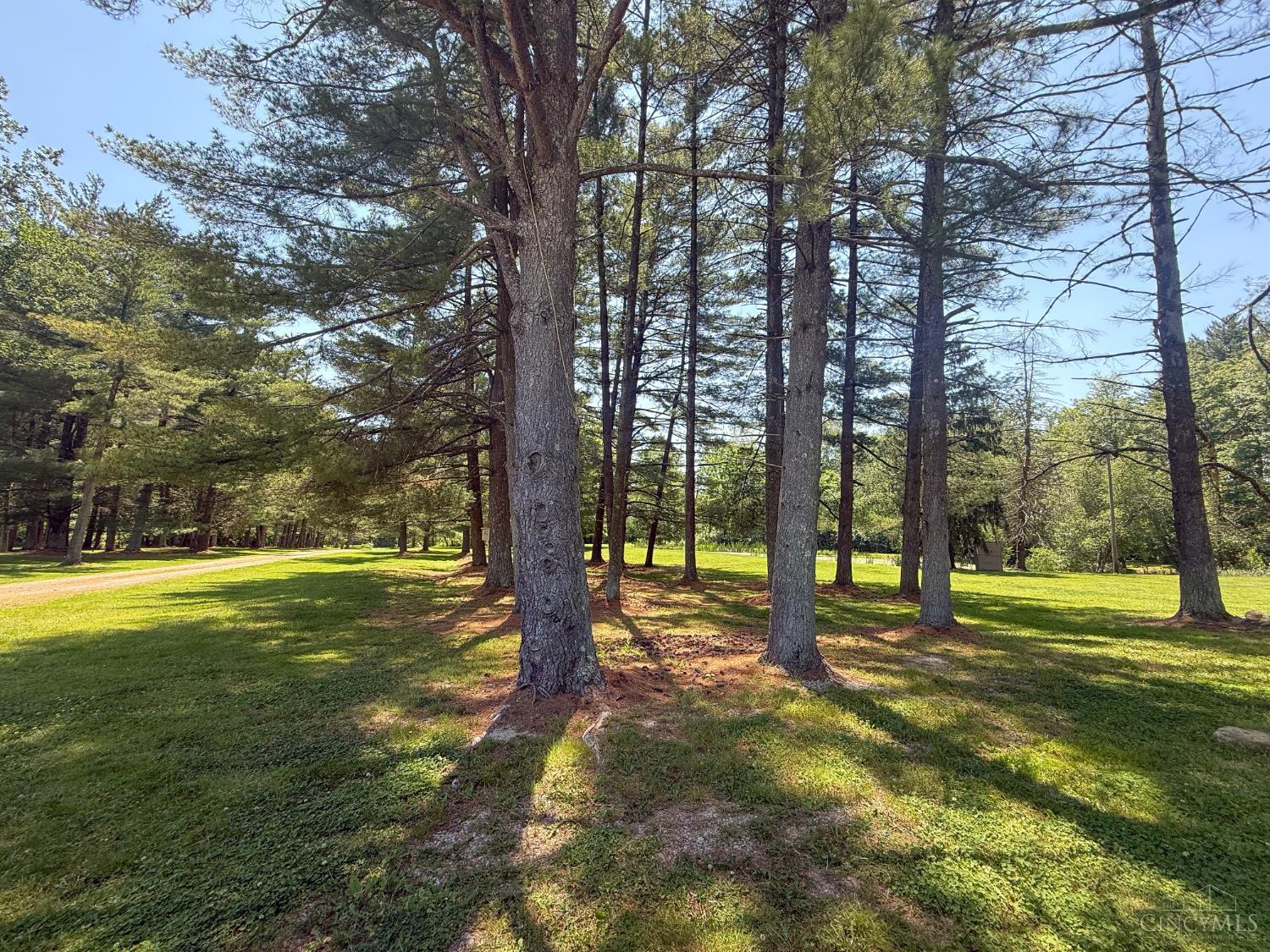 3911 Campbell Road Fayetteville, OH 45118 - Photo 76 of 76