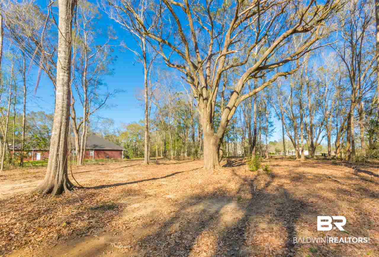 25923 Chene Trace Robertsdale, AL 36567 - Photo 8 of 9